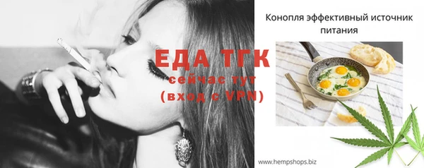индика Сосновка
