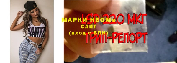 ешки Армянск