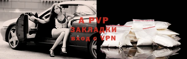 ешки Арсеньев