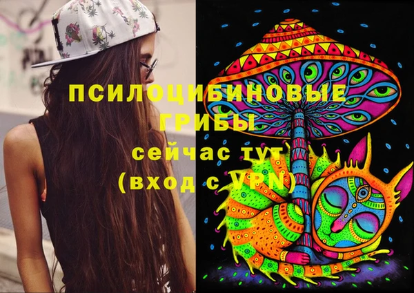 ешки Армянск