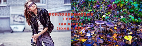 ешки Армянск