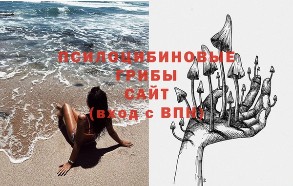 a pvp Аркадак