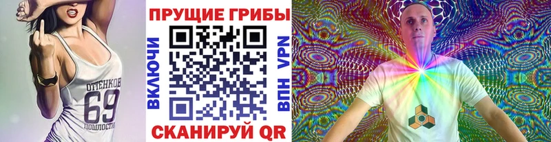 mega ONION  Гороховец  Галлюциногенные грибы мицелий 